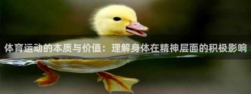 天天体育公司