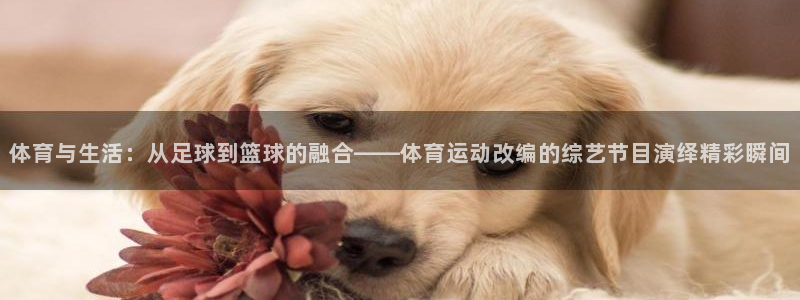 天天体育nba直播