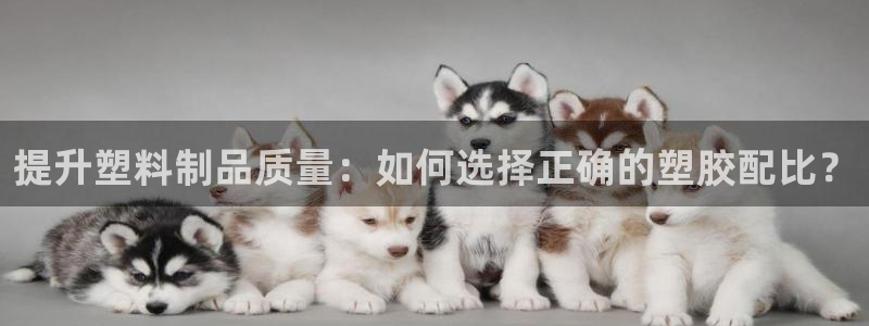 天天体育cctv5直播在线