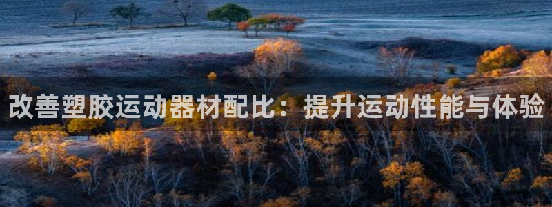 天天体育一赛季一生情2025