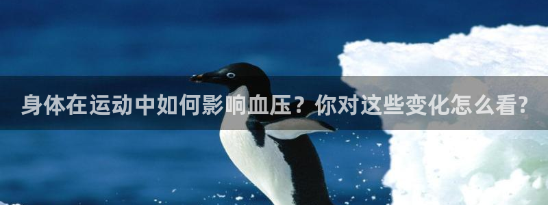 天天体育全运会赛程日历来了
