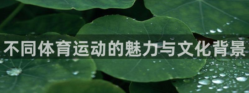 天天体育的新消息
