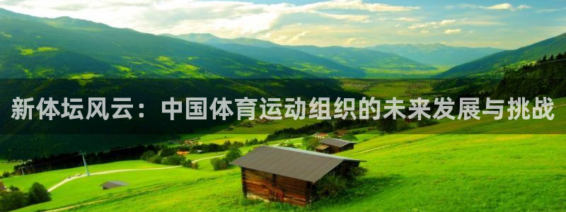 天天体育呀